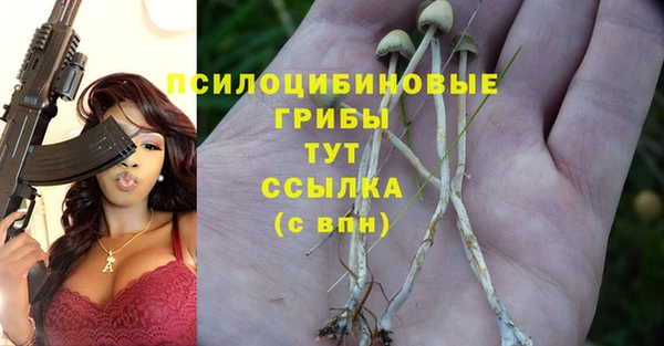 синтетический гашиш Осинники