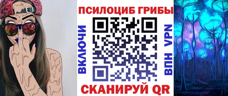 Галлюциногенные грибы Psilocybine cubensis  Афипский 